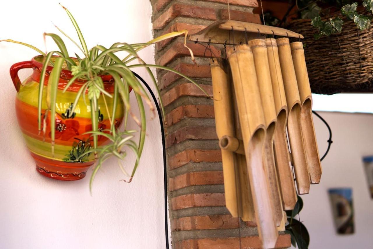 Apartamento Mcgomez House Málaga Exterior foto